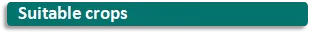 bifenthrin pl granular