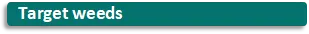 nicosulfuron atrazine