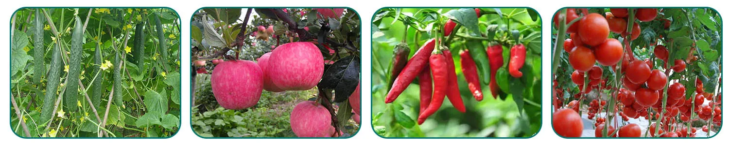 corteva chlorpyrifos